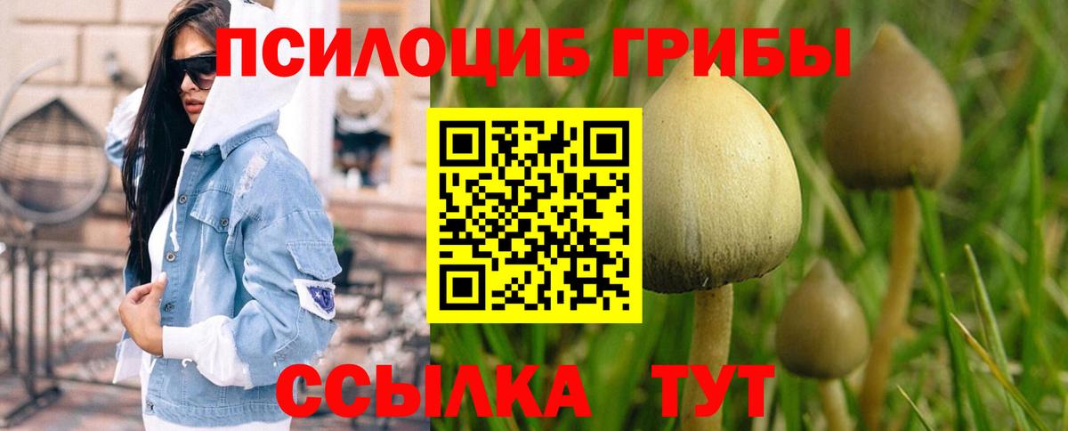Грозный  Галлюциногенные грибы MAGIC MUSHROOMS  Вход с VPN  Псилоцибиновые грибы Cubensis 